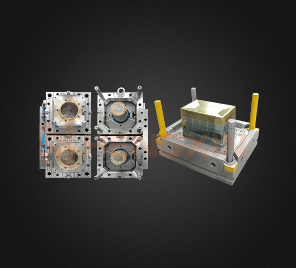 Etapa de testare a mucegaiului