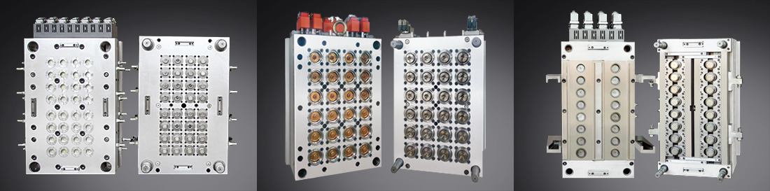 Factorii de influență care afectează Mucegaiurile